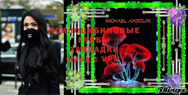 гидра Белоозёрский