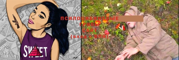 гидра Белоозёрский