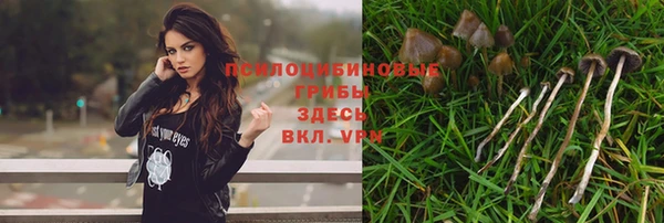 гидра Белоозёрский