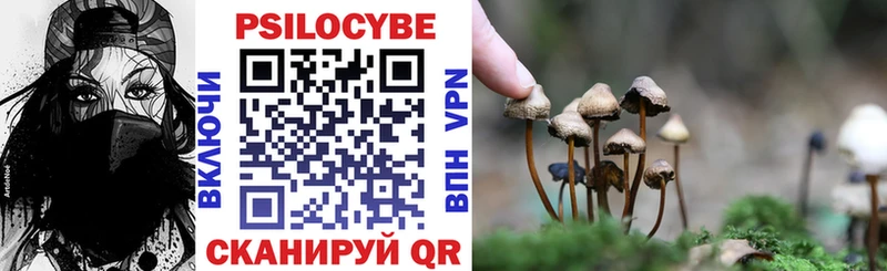 Купить закладки  Усолье  Псилоцибиновые грибы Psilocybine cubensis 