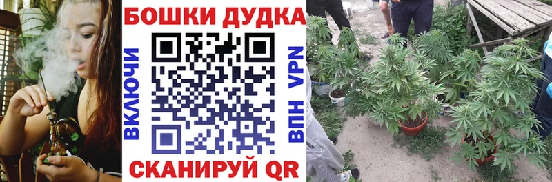 Бошки Шишки гибрид  Купить где  Усолье 